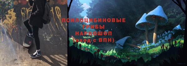 гидропоника Горнозаводск