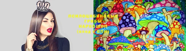 СК Горно-Алтайск