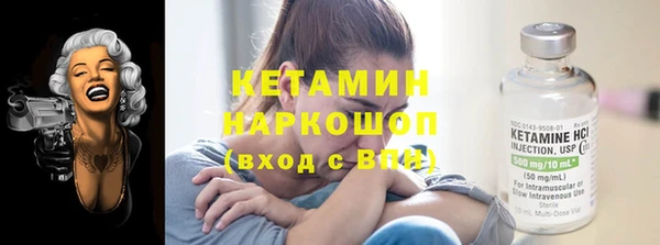 шишки Мегион