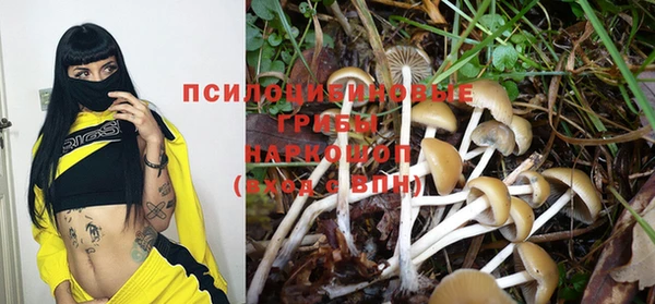 гидропоника Горнозаводск
